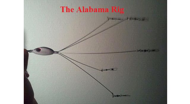 The Alabama Rig and USA BASSIN
